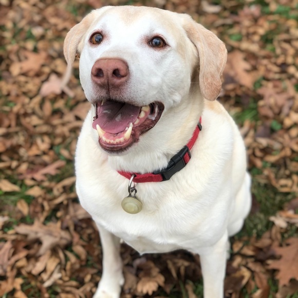 Meet your Part time Posher, full time zoo keeper - Picture 5 of 15